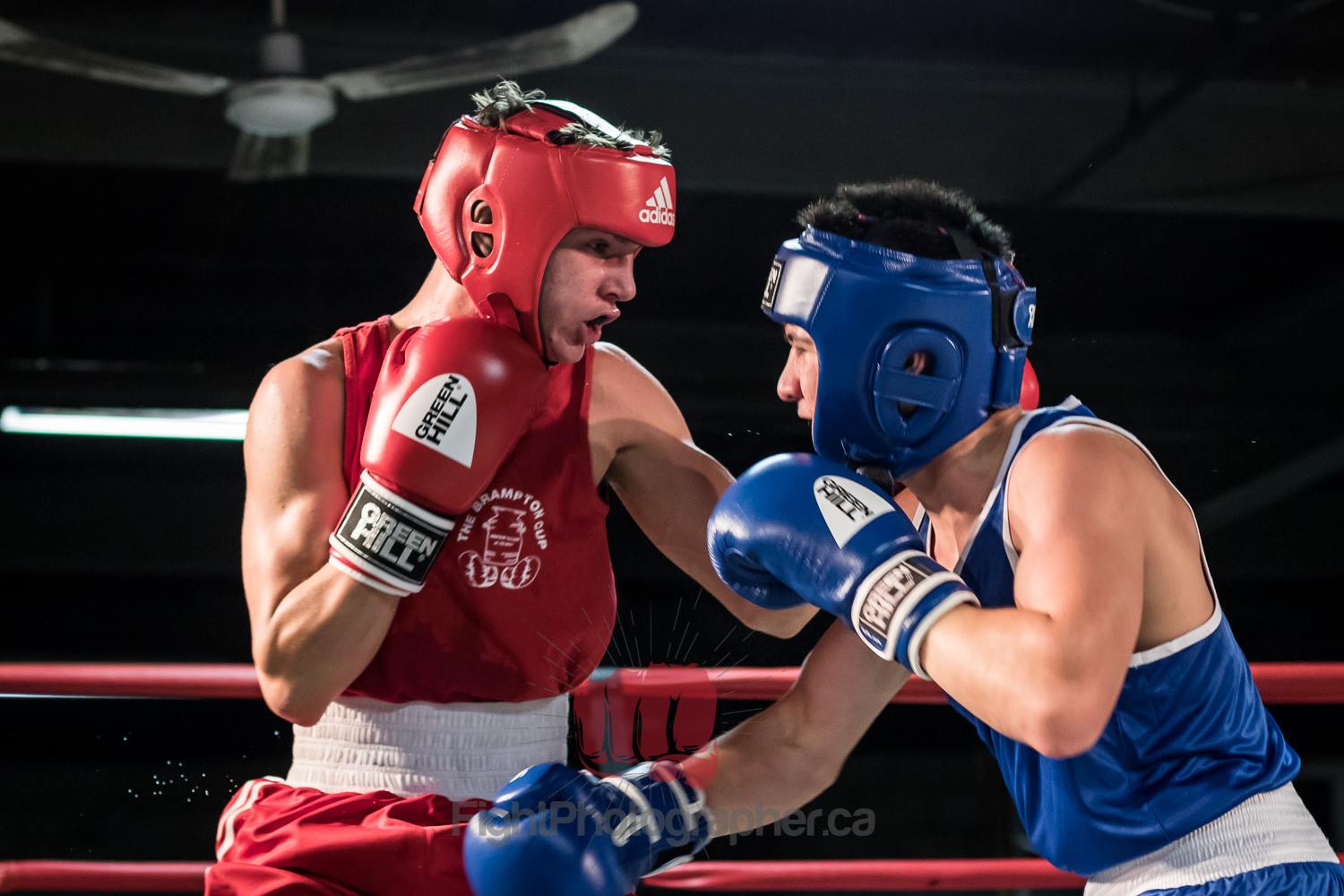 [Press Release] Ontario Boxers Are 1000 Steps Closer To Their Olympic ...